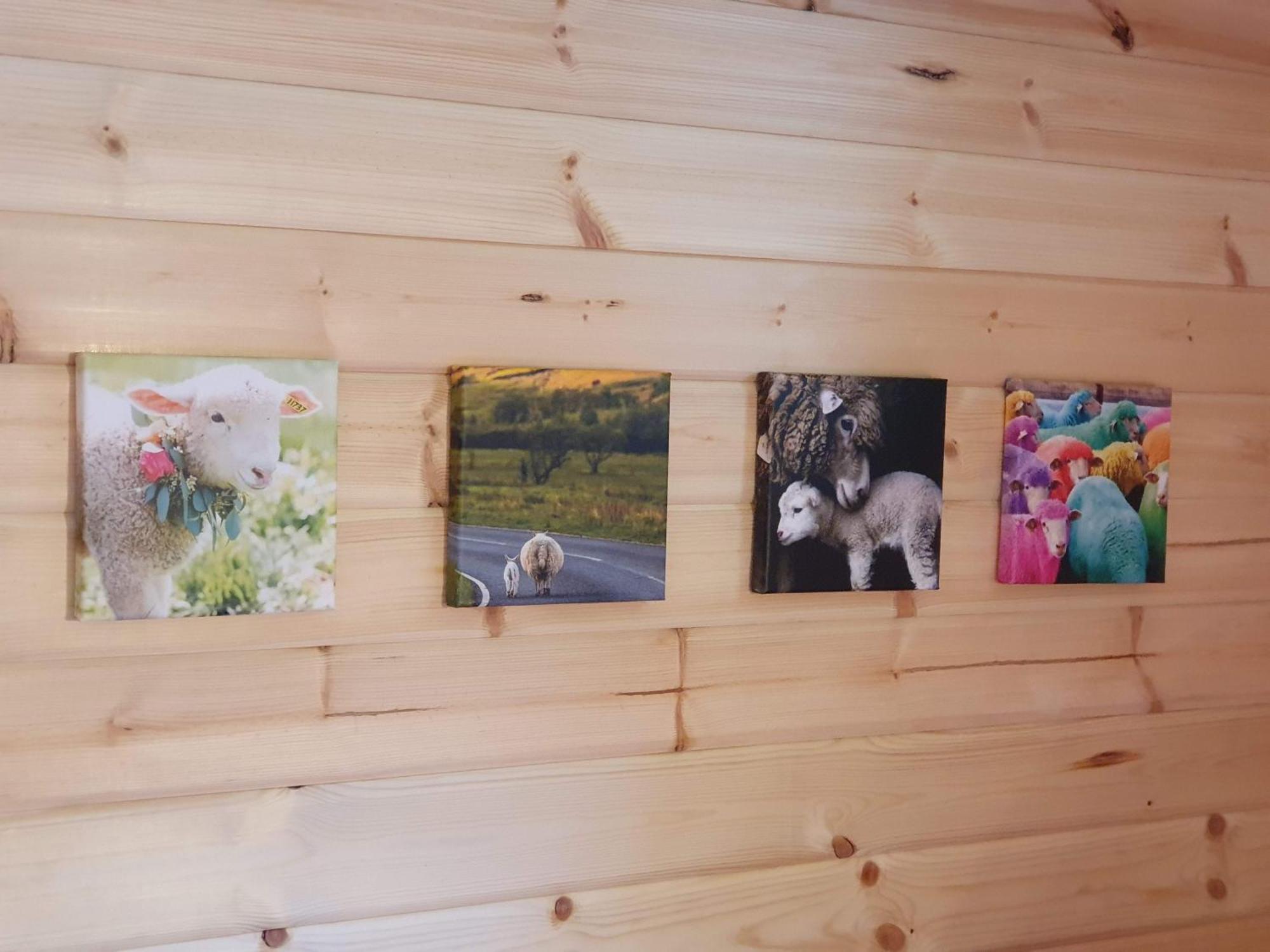 Pension Camping Schausten โคเคห์ม ภายนอก รูปภาพ